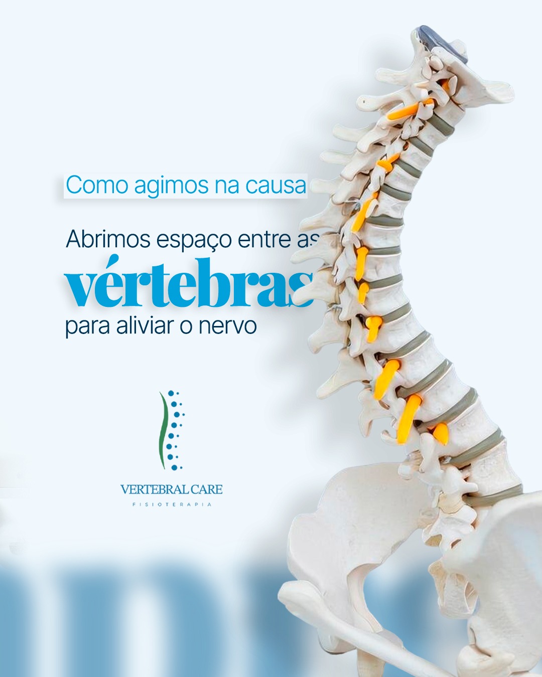 vertebral (1)