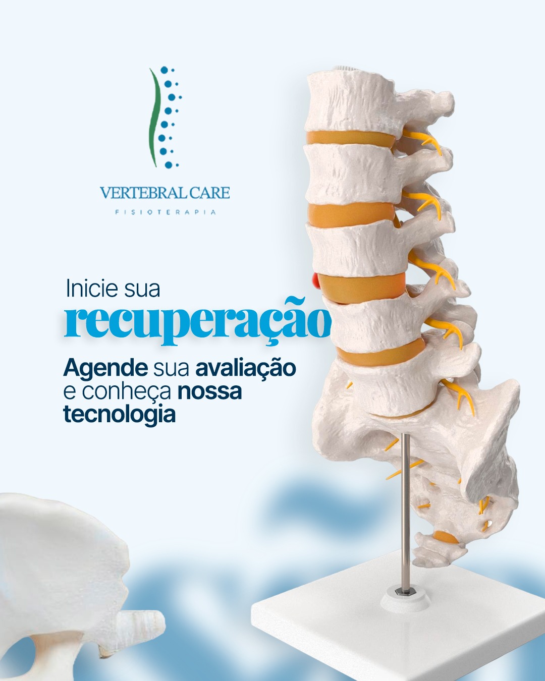 vertebral (5)